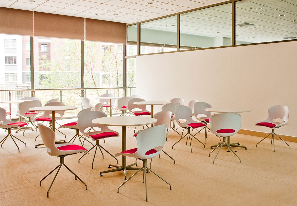 天津經(jīng)濟(jì)技術(shù)開(kāi)發(fā)區(qū)國(guó)際學(xué)校